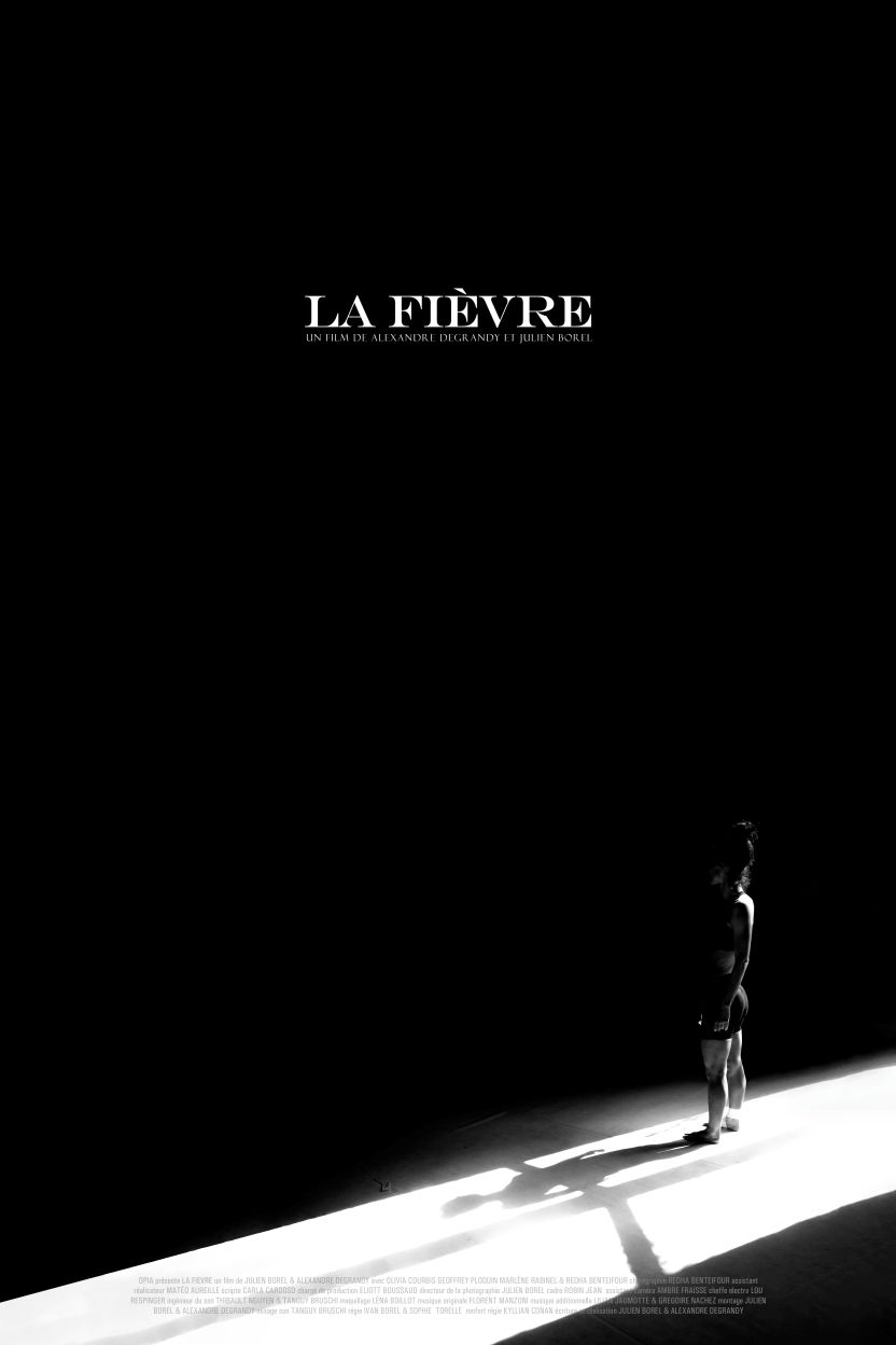 Affiche du film La Fièvre